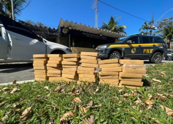 PRF apreende 50 tabletes de pasta base de cocaína em Paraty