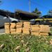 PRF apreende 50 tabletes de pasta base de cocaína em Paraty