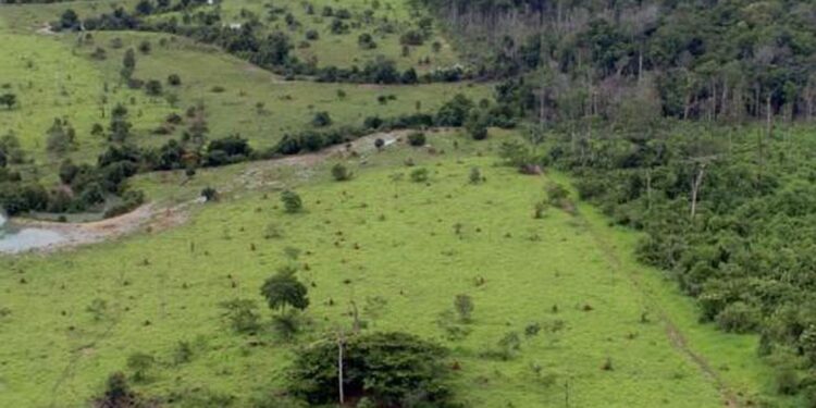 Prazo de entrega da declaração do ITR acaba hoje