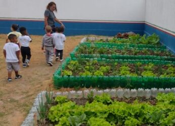 Porto Real realiza colheita de verduras produzidas por crianças no CEI Maria de Lourdes