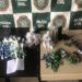 Polícia Civil apreende grande quantidade de drogas em comunidades de Angra