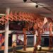 SP: exposição mostra réplica do maior dinossauro do mundo