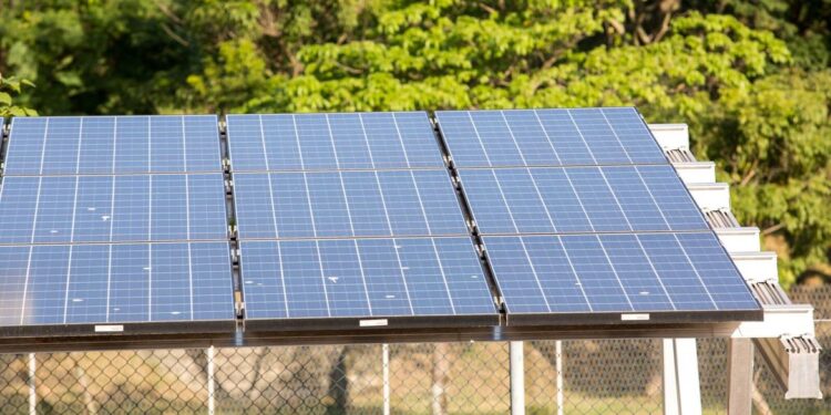 Aumento do consumo de energia solar traz projeções otimistas ao setor
