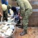 Polícia Federal estima apreender volume recorde de cocaína este ano