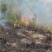 Guarda Ambiental de Barra Mansa detém suspeitos de atearem fogo em área de mata