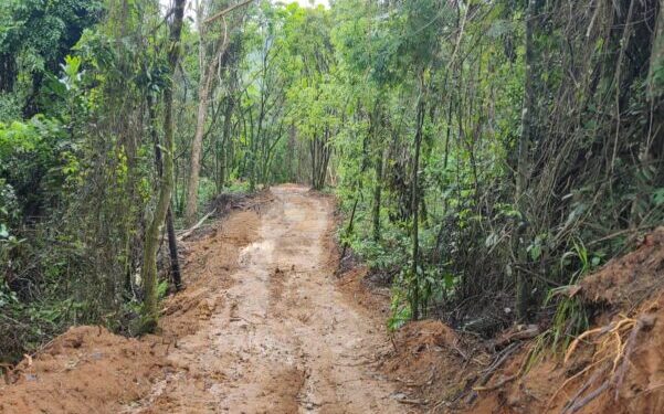 Polícia identifica abertura ilegal de estrada e desmatamento em Paraty