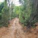 Polícia identifica abertura ilegal de estrada e desmatamento em Paraty