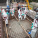 Nuclear: obras de Angra 3 são retomadas
