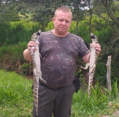 Guarda Ambiental de Barra Mansa apreende três jacarés no Cafarnaum