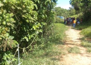 Corpos são encontrados em área de mata no bairro Vila Ursulino
