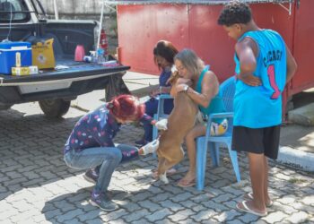 Porto Real vacina 174 animais em último dia de campanha antirrábica