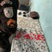 Polícia Militar apreende grande quantidade de drogas durante ações em quatro bairros de Volta Redonda