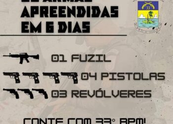 Polícia Militar apreende 8 armas em seis dias na Costa Verde