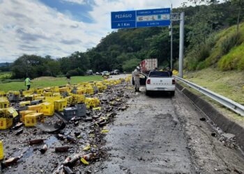 Acidente na BR-393 deixa dois motoristas feridos