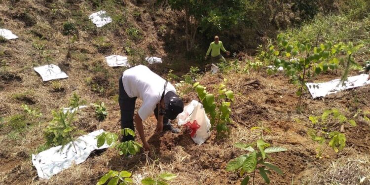 Comitê Guandu paga a produtores do PAF por serviços ambientais em Paulo de Frontin