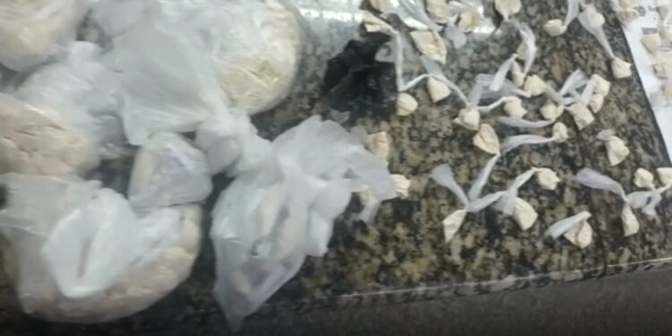 Polícia Militar apreende 572 sacolés de cocaína em Mangaratiba