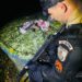 Traficante é baleado no Morro da Caixa D´Água