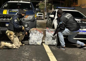 Homem é preso com quase 5 mil pinos de cocaína na Dutra, em Piraí