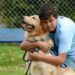 Golden retriever participa de cãoterapia com crianças autistas em Barra Mansa