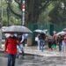 Verão: previsão é de chuvas acima da média no Brasil, exceto no Sul