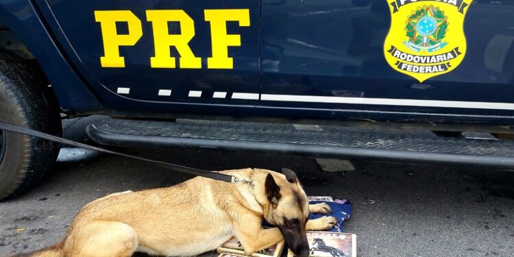 PRF apreende cinco quilos de pasta base de cocaína dentro de ônibus em Seropédica