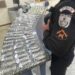 Polícia Militar apreende drogas escondidas em área de mata, em Barra do Piraí