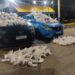 PM faz a maior apreensão de drogas do Sul do Estado dos últimos meses