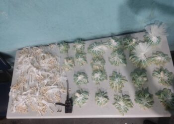 Trio é preso com mais de 1.200 pedras de crack em Volta Redonda