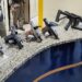 ‘Operação Asfixia’: Polícia prende suspeitos do assassinato de PM em Paraty
