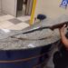 Homem é detido com espingarda em Paraty