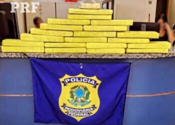 Jovem é presa com 20 kg de maconha em ônibus na Dutra, em Itatiaia