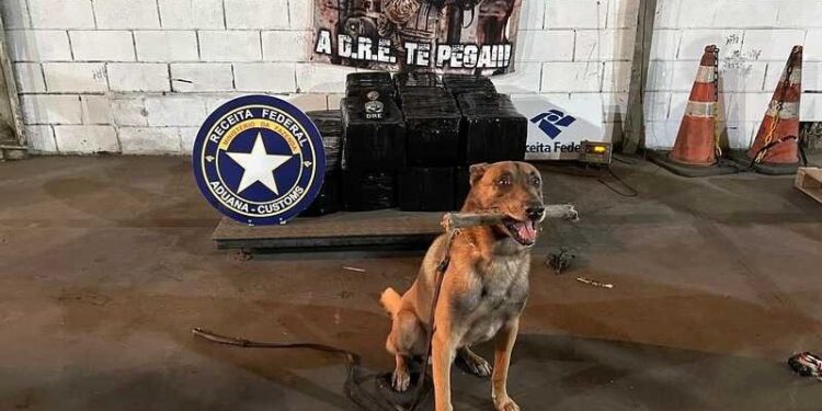 Polícia apreende cerca de 400 kg de cocaína no Porto de Itaguaí