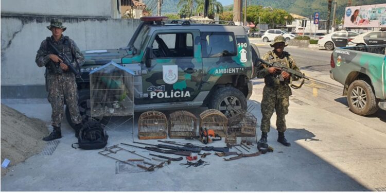 Polícia apreende armadilhas utilizadas para caça de animais, armas de fogo e pássaros silvestres, em Angra