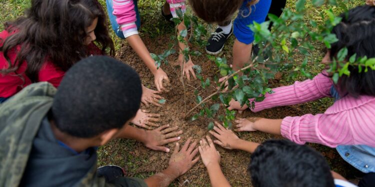 Plantio de mudas no Parque das Águas marca Dia Mundial da Água, em Resende