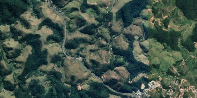 Homem morre atropelado na Dutra