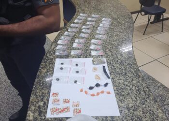 Polícia Militar apreende grande quantidade de drogas em Paraty