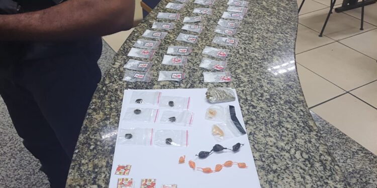 Polícia Militar apreende grande quantidade de drogas em Paraty