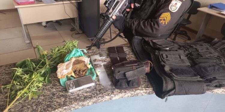 Pés de maconha são apreendidos em Pinheiral