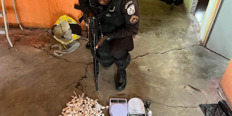 Polícia Militar prende foragida da Justiça e apreende carga de drogas em Resende