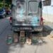 Aves silvestres são resgatadas em Volta Redonda após denúncia