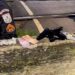 Homem é preso e menor apreendido com pistola 9mm, munição e drogas em Barra do Piraí