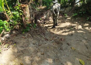 Polícia encontra área com árvores cortadas para abertura de estrada em Angra dos Reis
