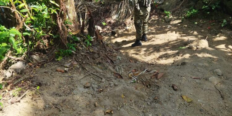 Polícia encontra área com árvores cortadas para abertura de estrada em Angra dos Reis