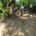 Polícia encontra área com árvores cortadas para abertura de estrada em Angra dos Reis