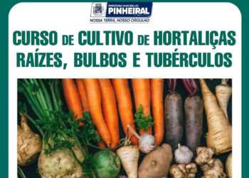 Pinheiral abre inscrições para curso de cultivo de hortaliças, raízes, bulbos e tubérculos