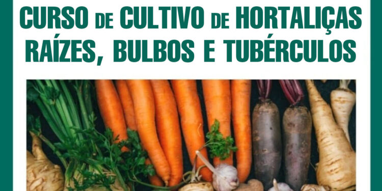 Pinheiral abre inscrições para curso de cultivo de hortaliças, raízes, bulbos e tubérculos