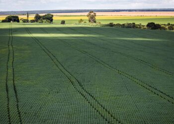 Estudo aponta desafios do seguro rural em meio a mudanças climáticas