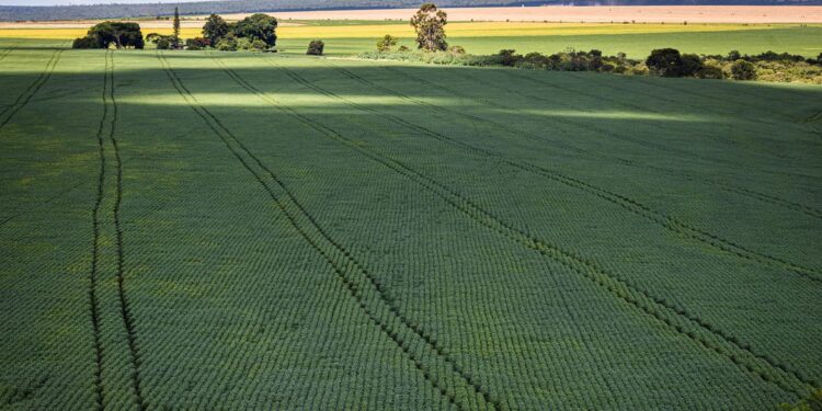 Estudo aponta desafios do seguro rural em meio a mudanças climáticas