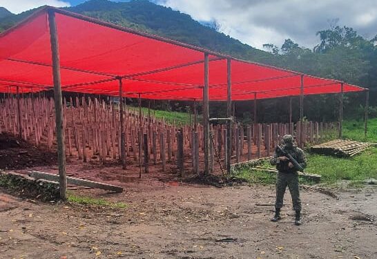 Polícia flagra desmatamento, construção irregular e desvio de curso de água em fazenda de Paraty