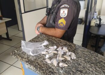 PM apreende pinos de cocaína em Quatis